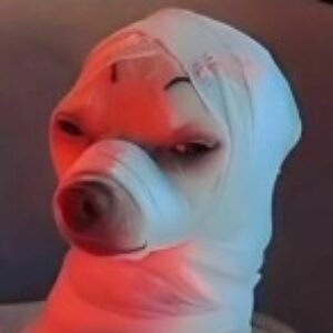 Profile photo of Non